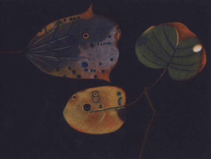 screen-shot-2016-10-06-at-2-08-49-pm